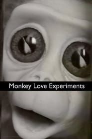 Image Monkey Love Experiments 2014
