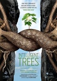 Intelligent Trees series tv