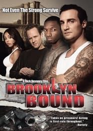 Brooklyn Bound series tv