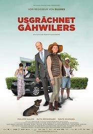Meet The Gähwilers series tv
