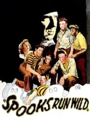 Spooks Run Wild series tv
