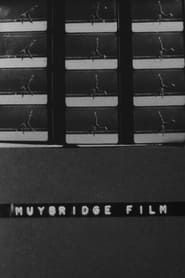 Muybridge Film (1975)