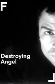 Affiche de Destroying Angel