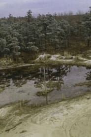 Image Pine Barrens 1975