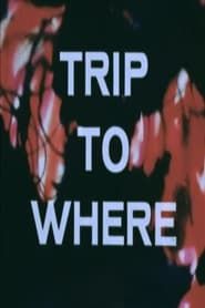 LSD: Trip to Where? series tv