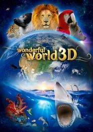 Affiche de Wonderful World 3D