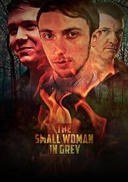 The Small Woman in Grey series tv