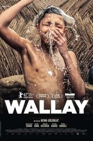watch Wallay
