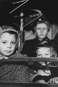 Asylrecht (1949)
