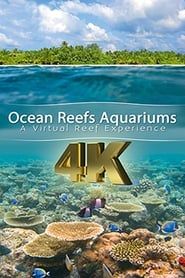Ocean reefs aquariums (a vitual experience) series tv