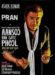 Aansoo Ban Gaye Phool series tv