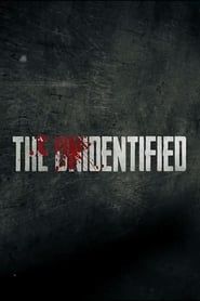 The Unidentified series tv