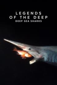 Fantômes des grands fonds – Requins des profondeurs 