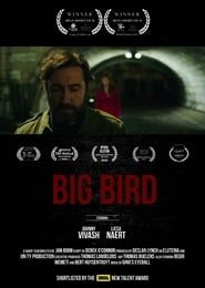 Big Bird series tv