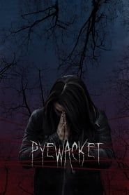 Voir Pyewacket (2017) en streaming