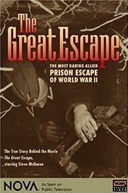 Affiche de Great Escape