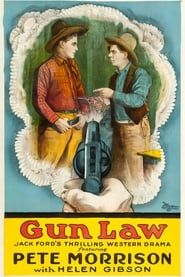 Gun Law (1919)