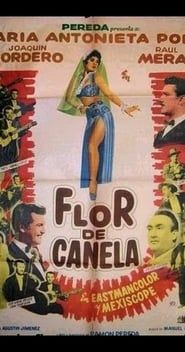 Flor de canela series tv