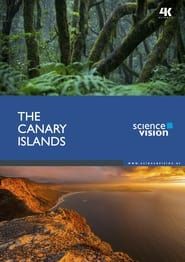 Affiche de Les îles Canaries