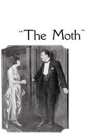 Image The Moth 1917