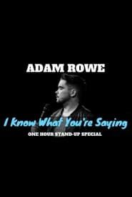 Adam Rowe: I Know What You're Saying 2017 streaming