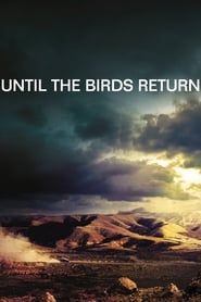 Until The Birds Return series tv