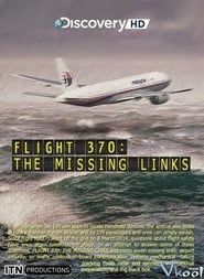 Image Flight 370: The Missing Links