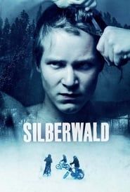 watch Silberwald