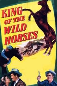 Affiche de King of the Wild Horses