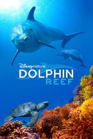 Dolphin Reef series tv