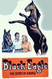 Black Eagle series tv