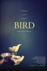Bird-hd