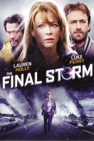 The Final Storm series tv
