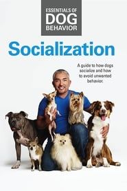 Image Essentials of Dog Behavior: Socialization 2014