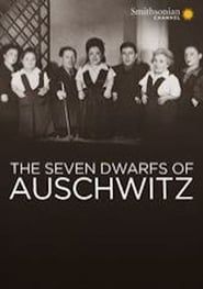 Warwick Davis: The Seven Dwarfs of Auschwitz (2013)