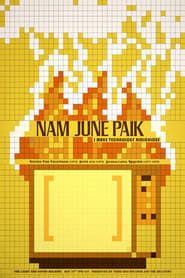 Nam June Paik: Edited for Television series tv