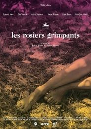 watch Les rosiers grimpants