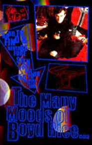 Image The Many Moods Of Boyd Rice 2002