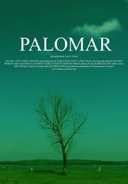 watch Palomar