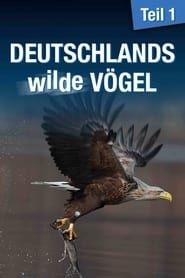 Image Deutschlands wilde Vögel 2013