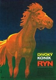 Image Divoký koník Ryn 1982
