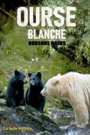Image Ourse blanche, oursons noirs : la belle histoire
