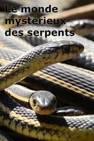 Image Le monde mystérieux des serpents