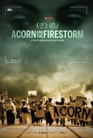 Acorn and the Firestorm series tv