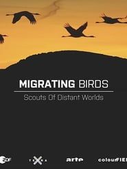 Image Les oiseaux migrateurs - Les messagers du monde