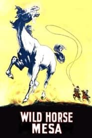 Wild Horse Mesa (1925)