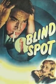 Blind Spot-hd
