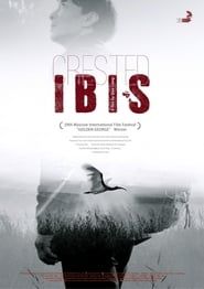 Crested Ibis series tv
