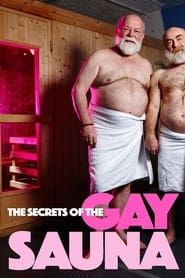 Secrets of the Gay Sauna 2016 streaming
