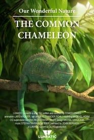 Image Our Wonderful Nature - The Common Chameleon